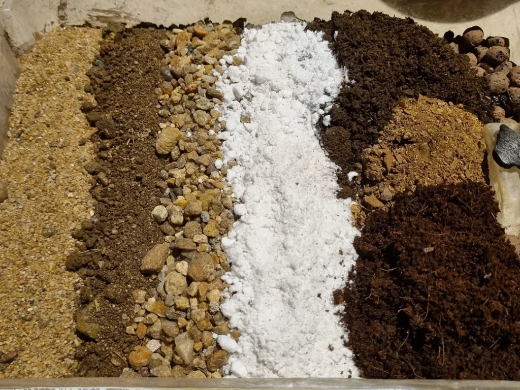 Best Soil Mix for Succulents
