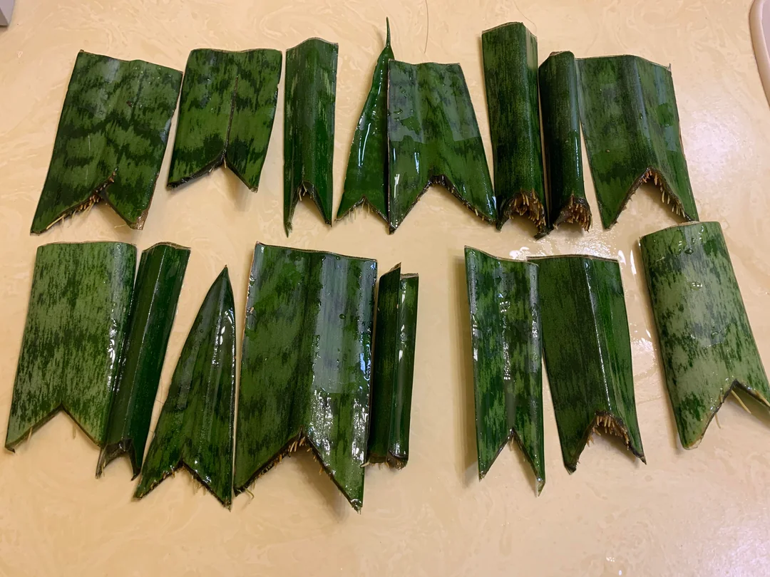 propagate a snake plant in water